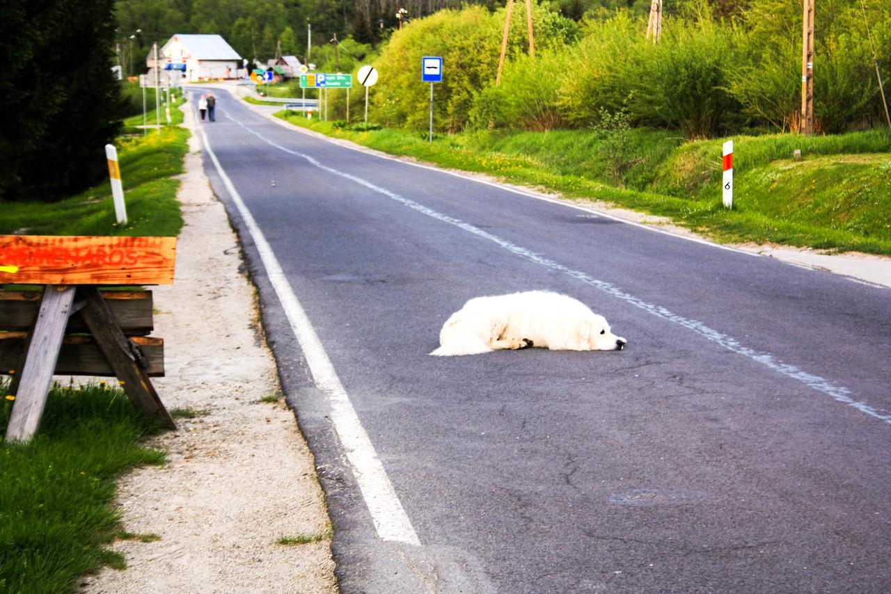 A Pousada Kremenaros Ustrzyki Górne Exterior foto